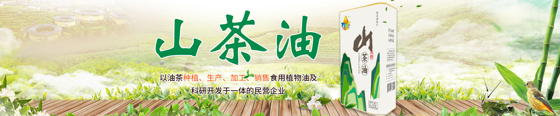 尊龙凯时_油茶莳植生产加工销售|植物油莳植生产加工销售