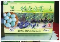 尊龙凯时,油茶莳植生产加工销售,植物油莳植生产加工销售